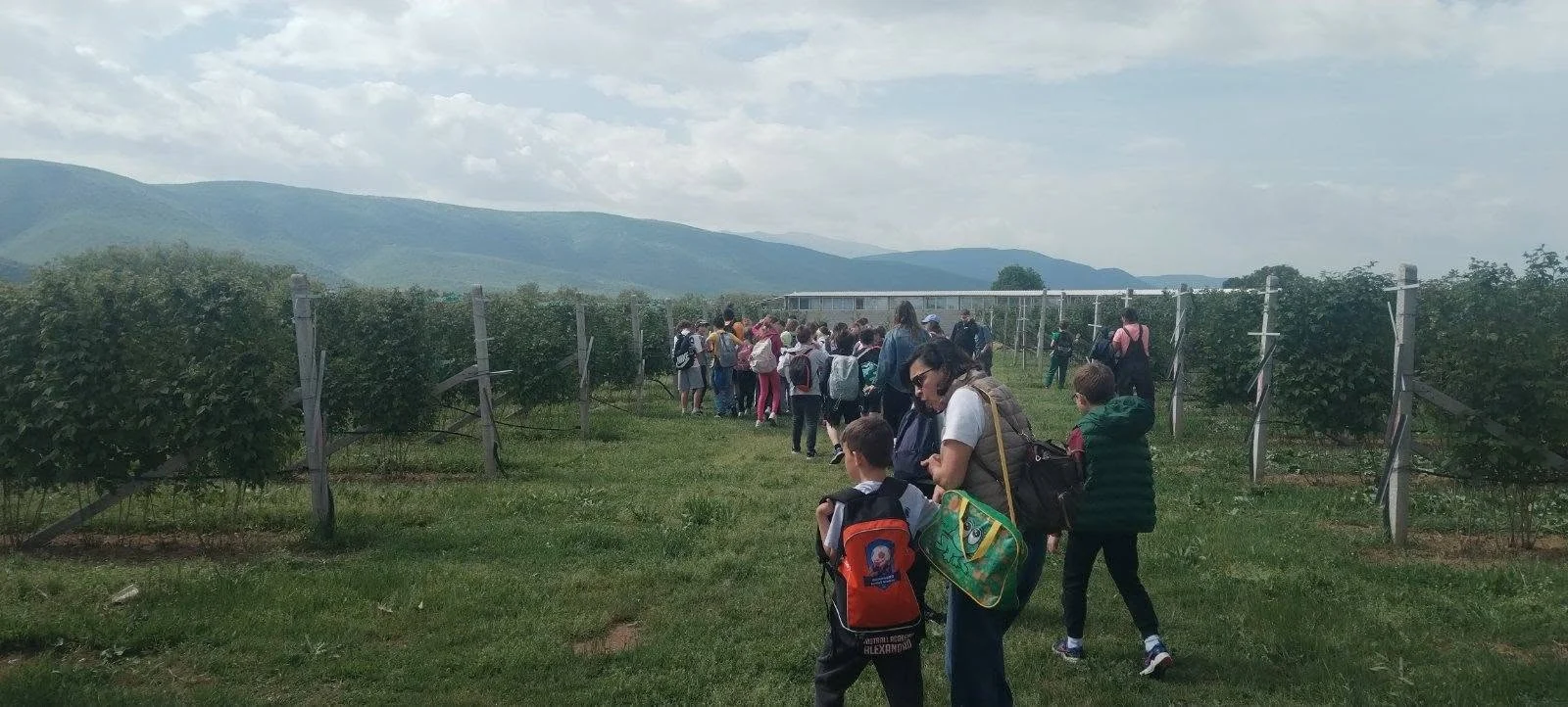 Посетата на фарма за малини во с. Јанчиште