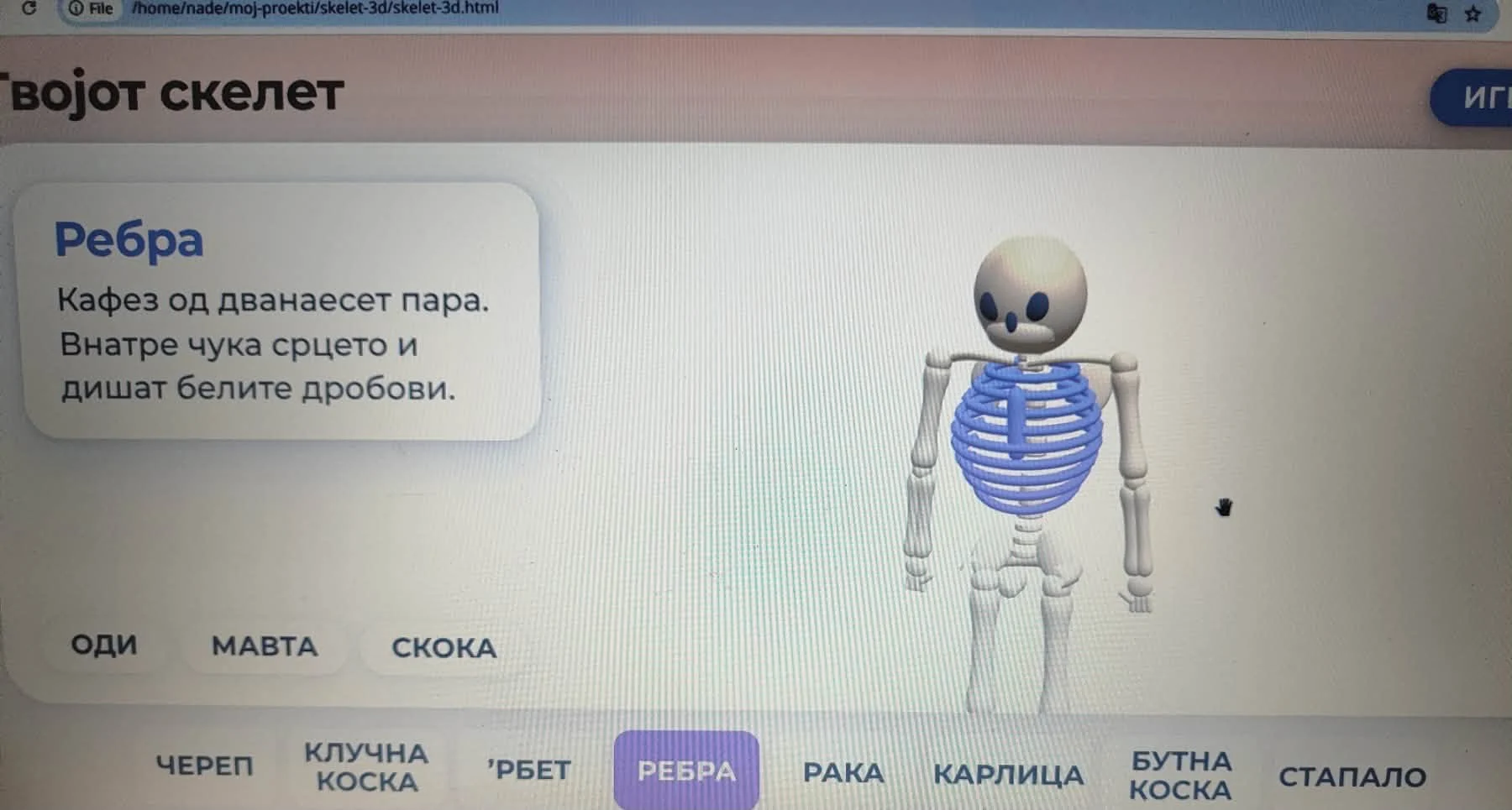Скелет кај човекот и животните со 3Д анимација и квизови