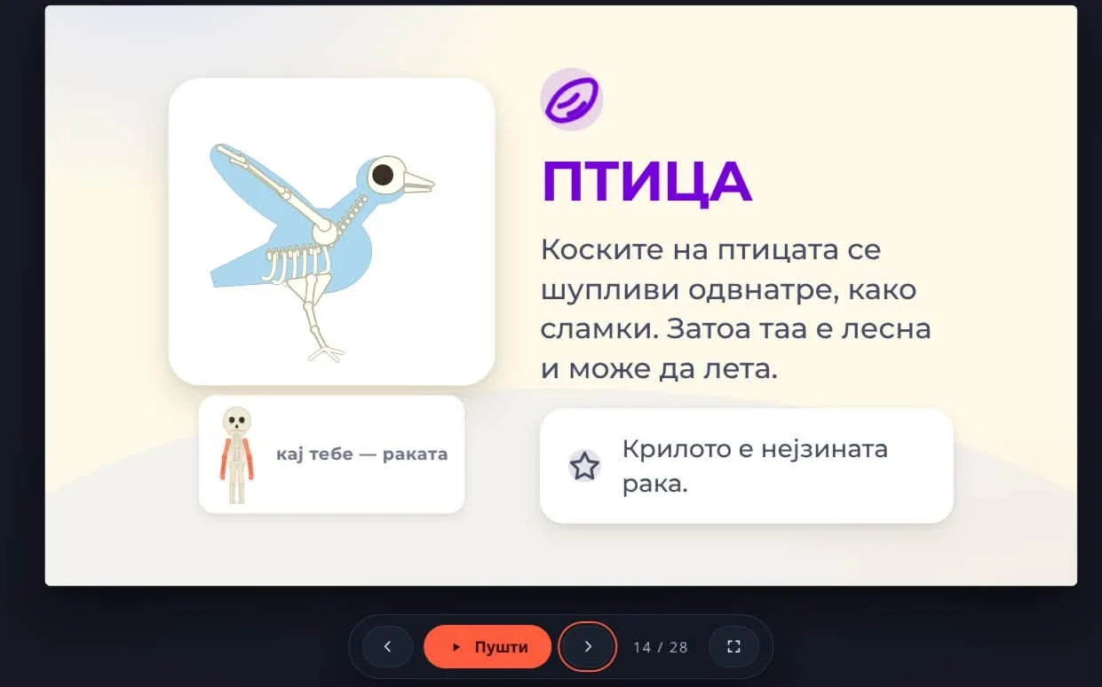 Скелет кај човекот и животните со 3Д анимација и квизови