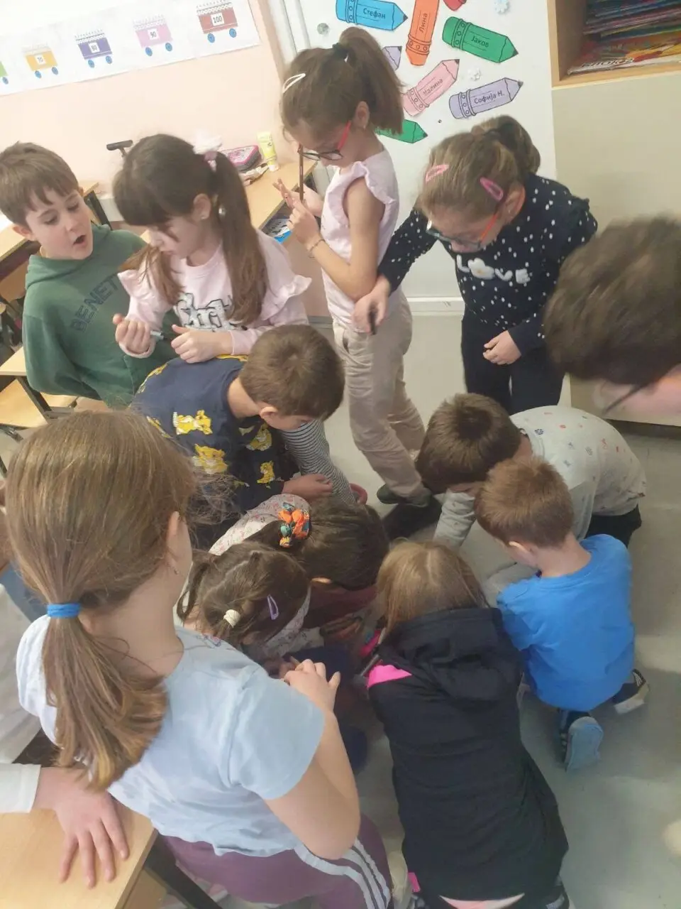 Засадување дрвца и климатски промени